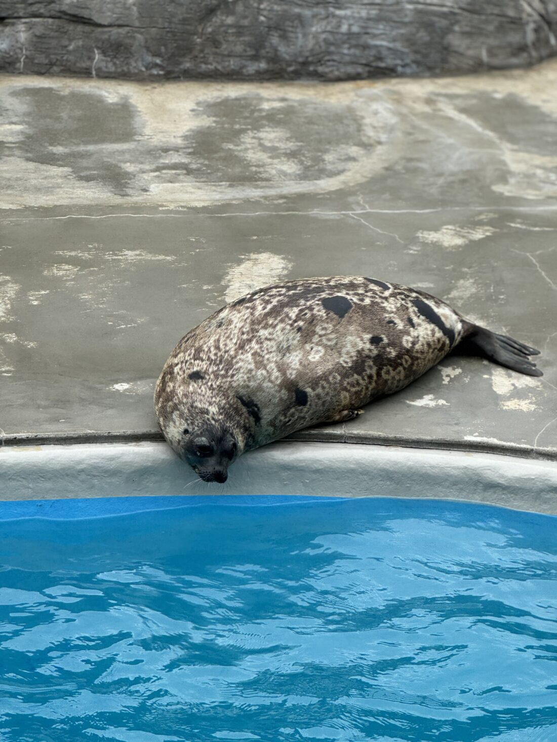 水族館🐬