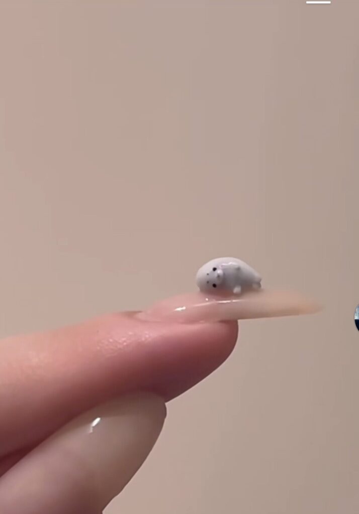 いちかです