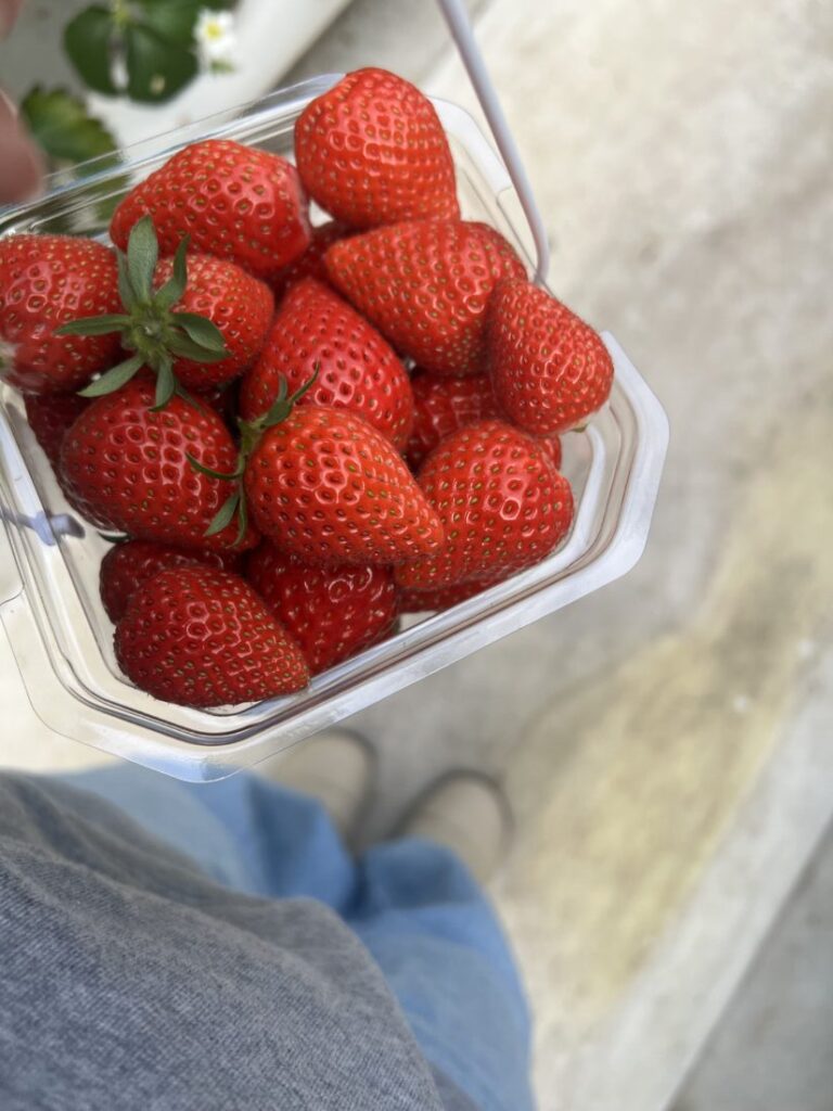 🍓