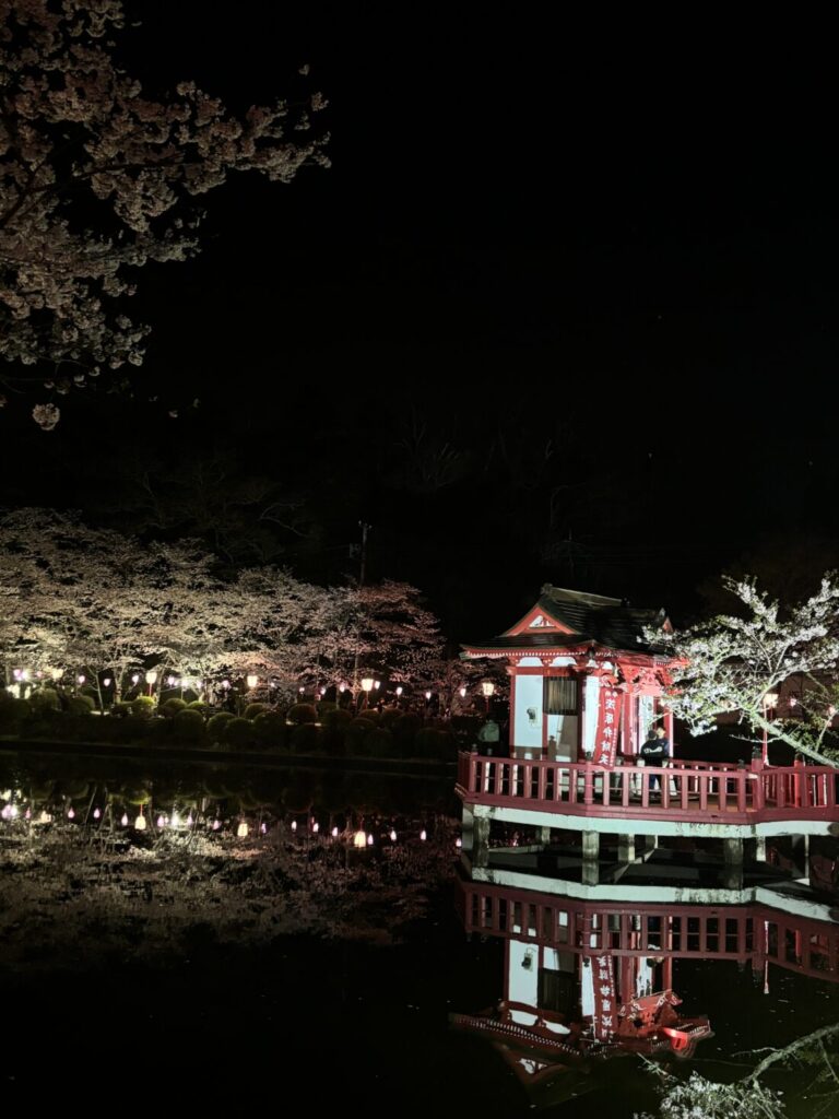 夜桜🌸