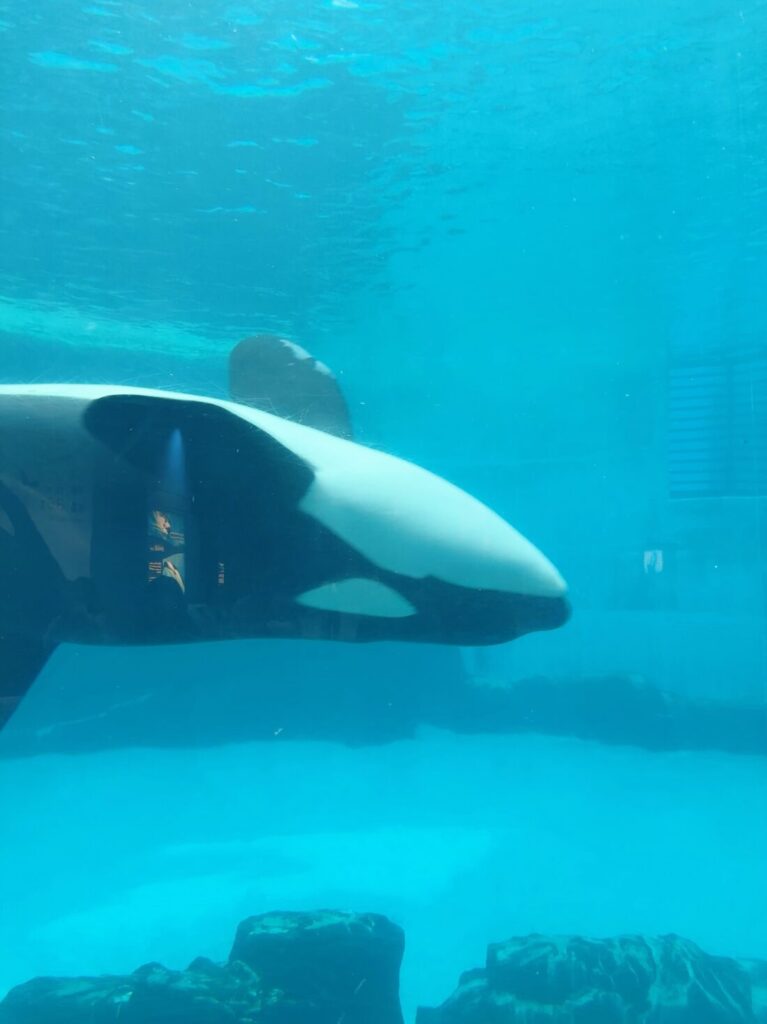 水族館🐬🫧‪