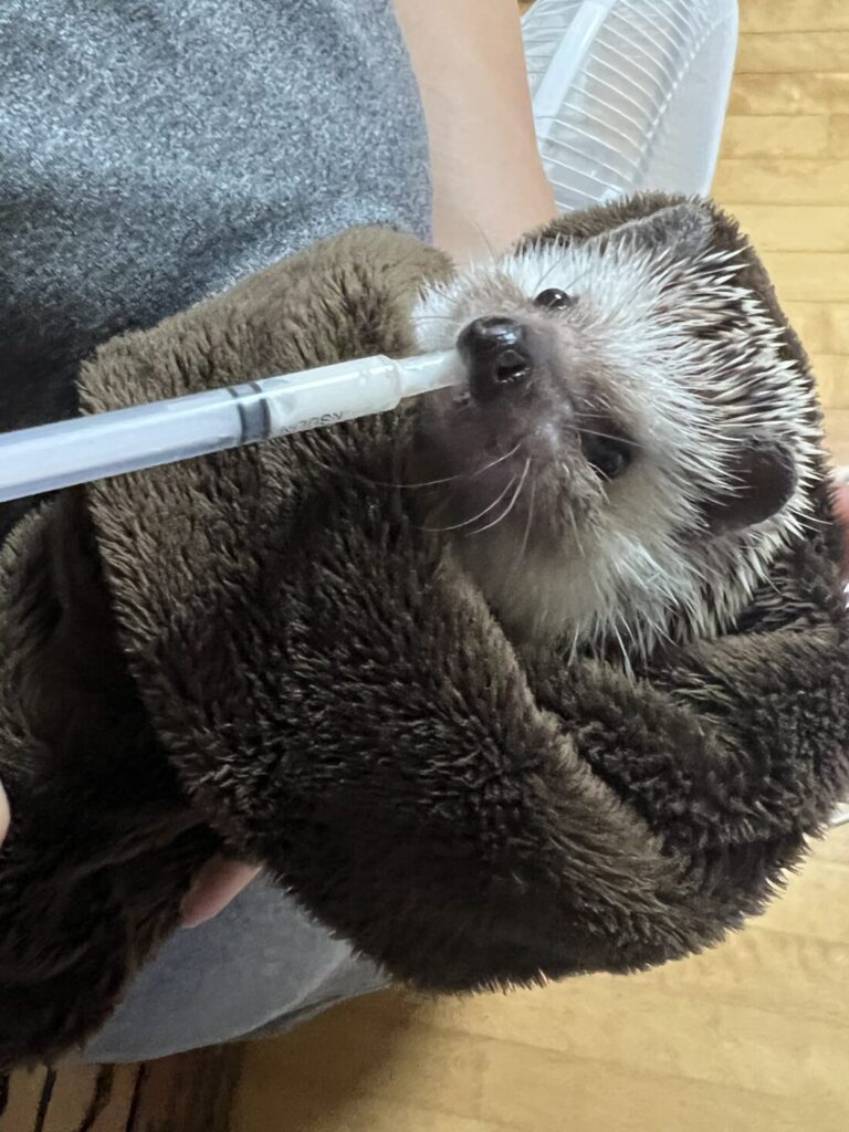 会いたい…