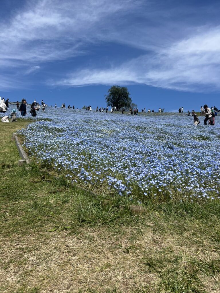 あんなです🫥