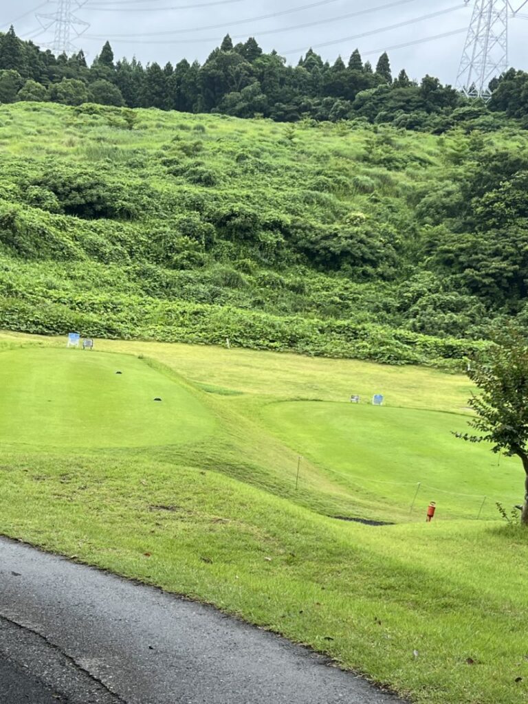 はなです🌼