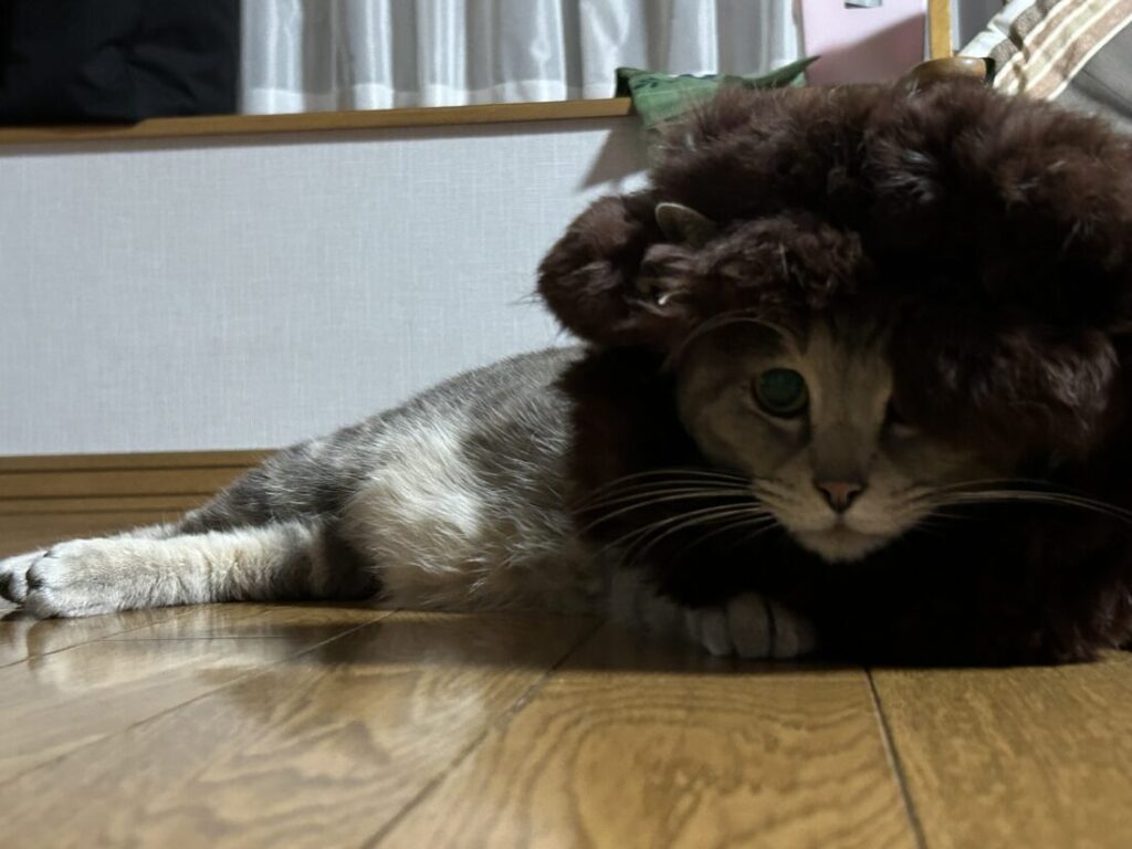 さやです❕