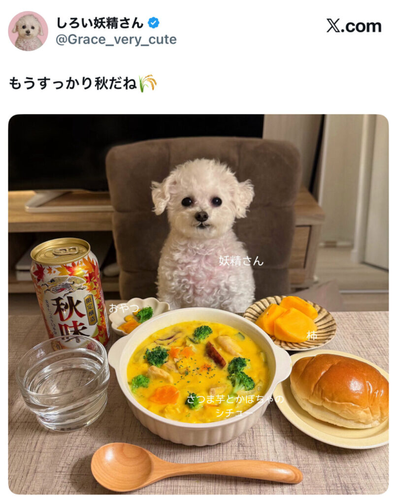 のん🐹