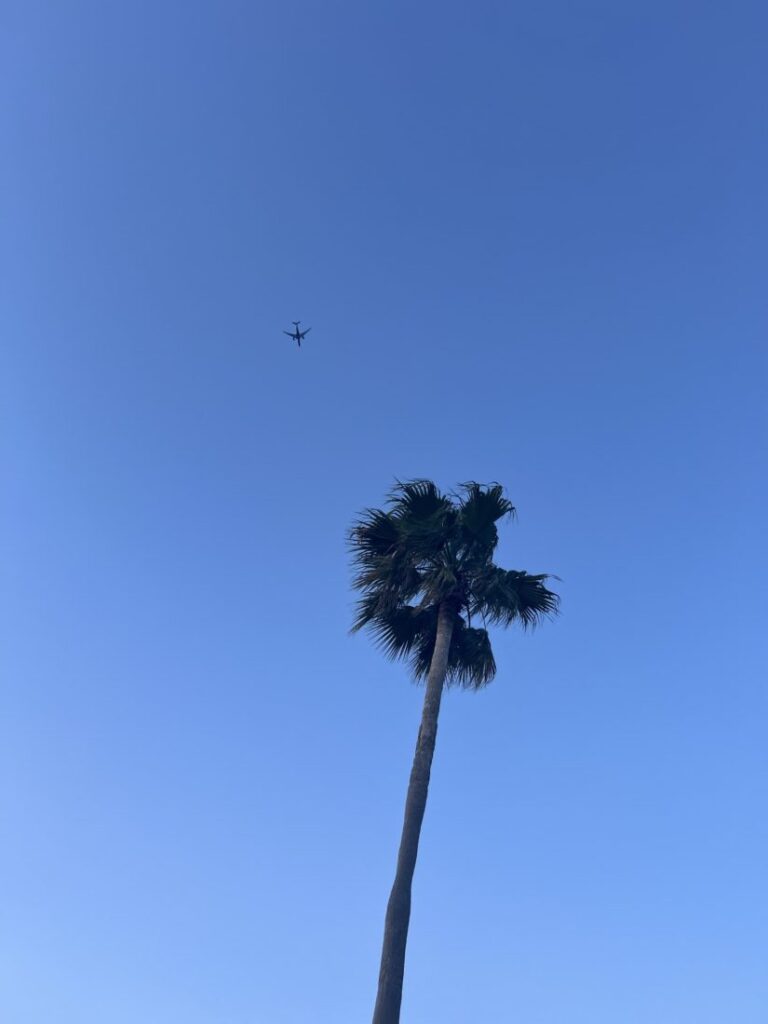りあです🥺ᩚ