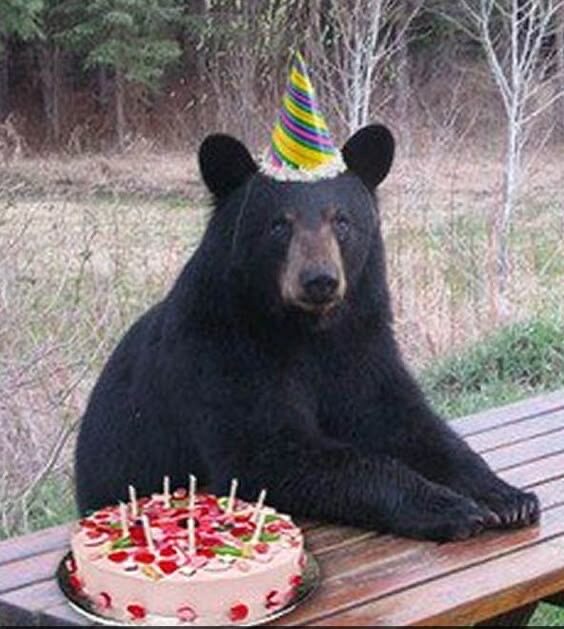 くまさん爆誕🎂