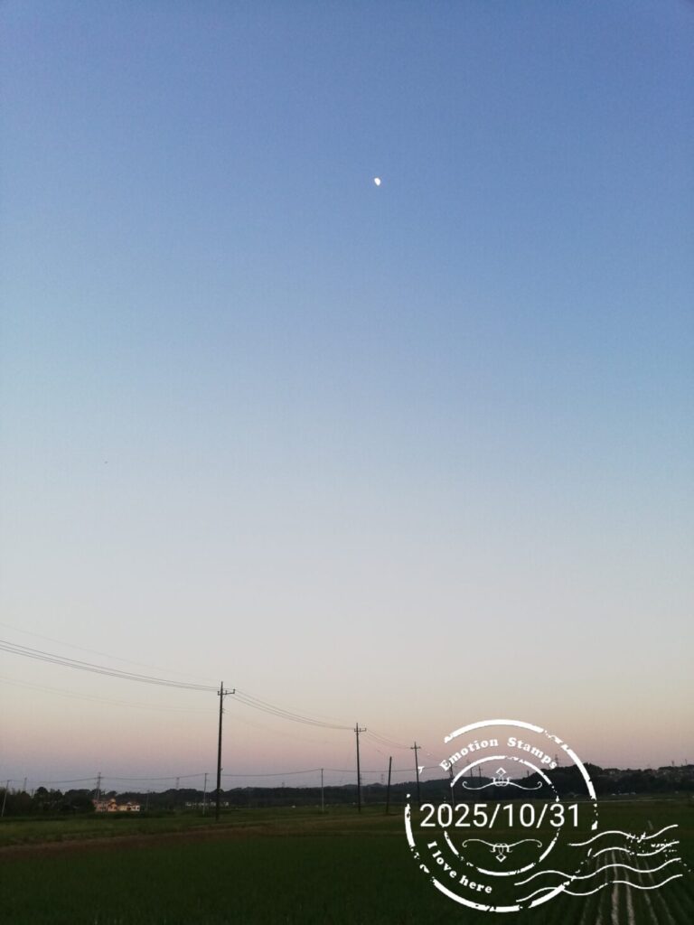 華金°・*:.°・*:.