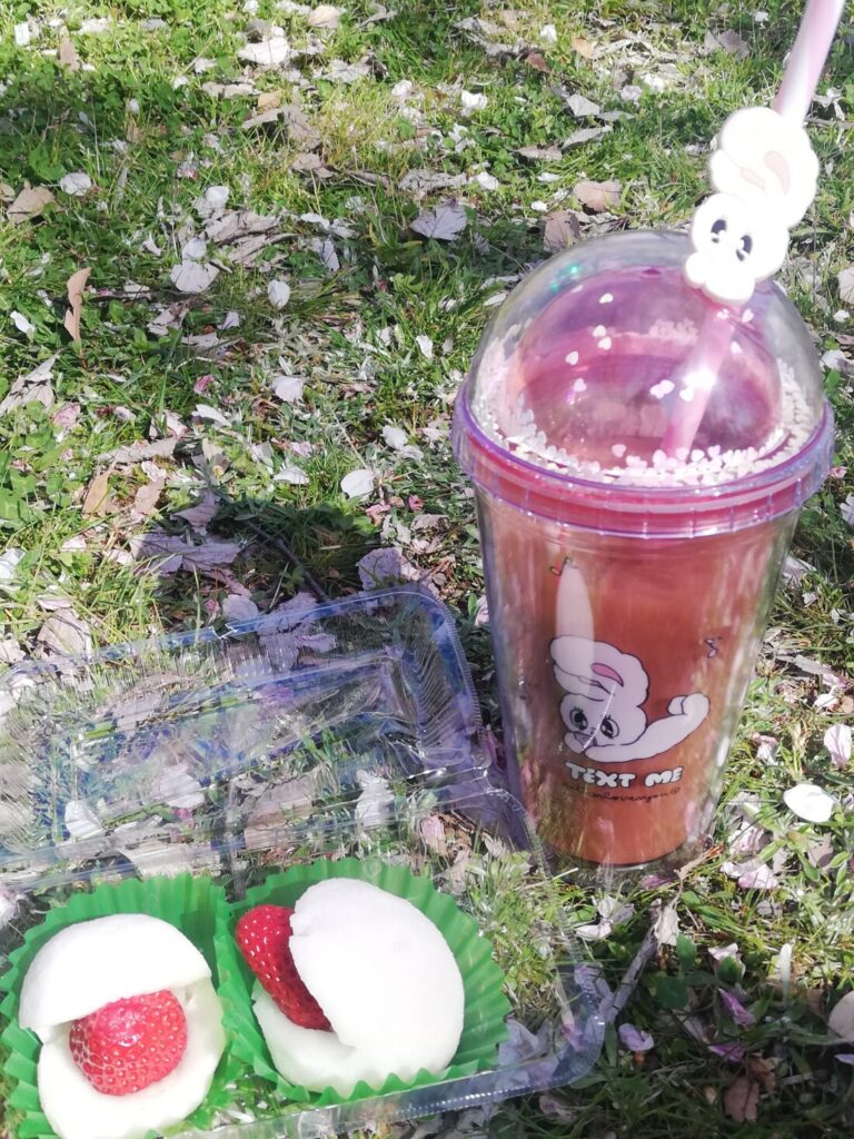 お花見🌸ꕤ︎︎·͜·♡