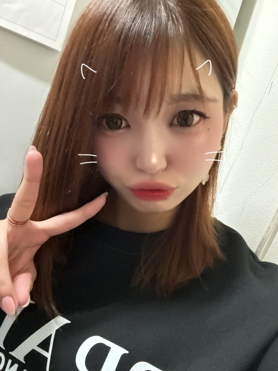 いぶしぎん