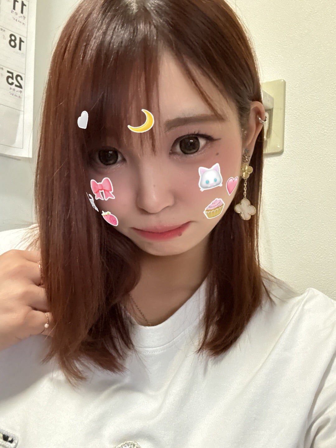 いぶしぎん