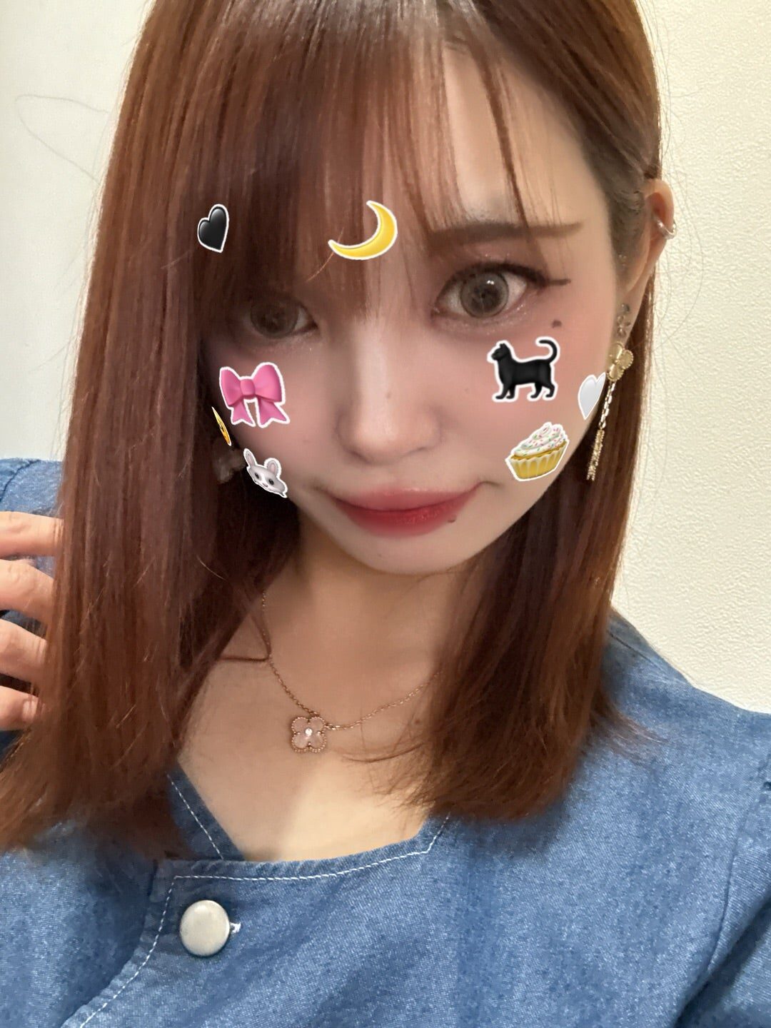 いぶしぎん