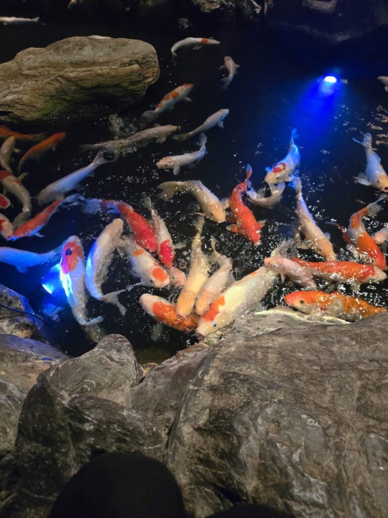 休みの日 Byあいり