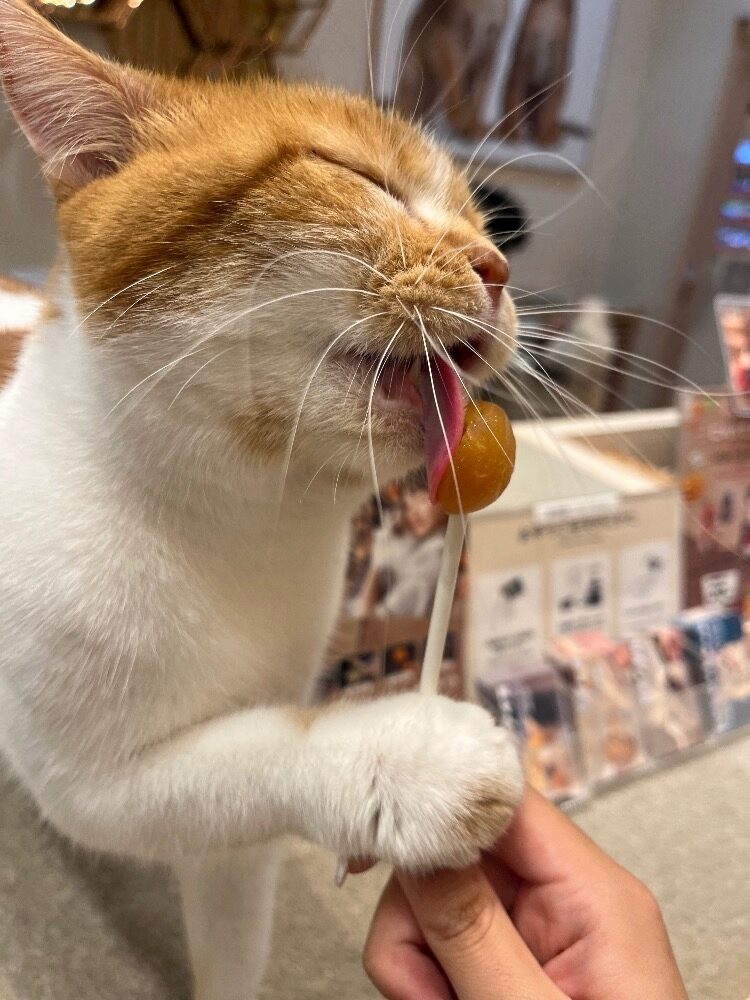 こんばんは‼️