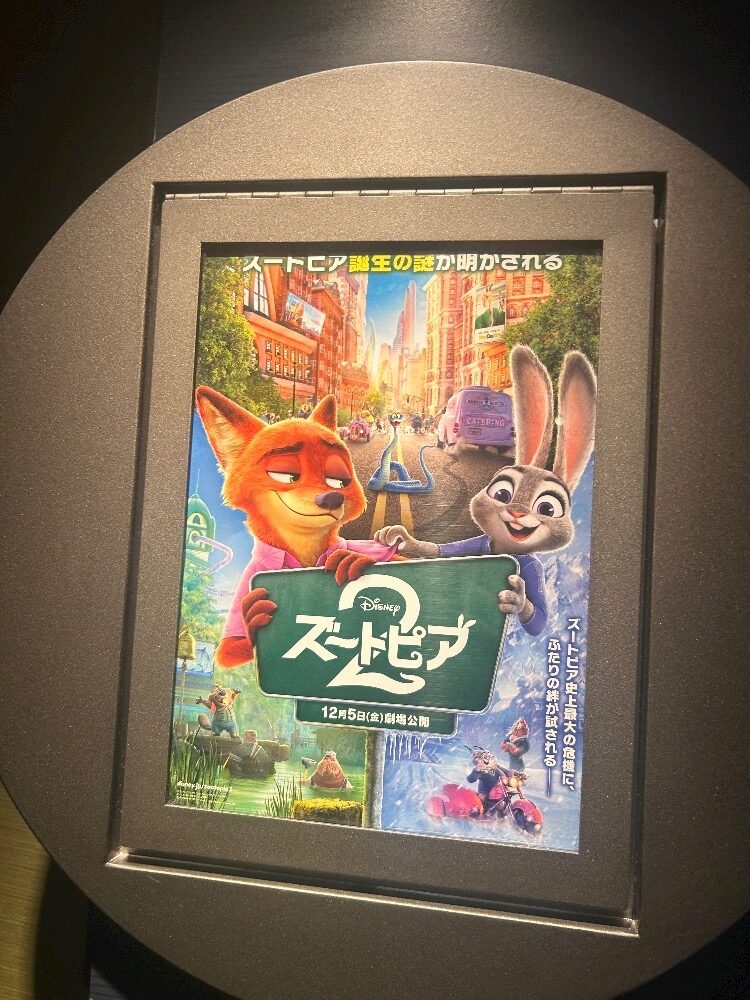 こんばんはきららです🐈‍⬛🎀