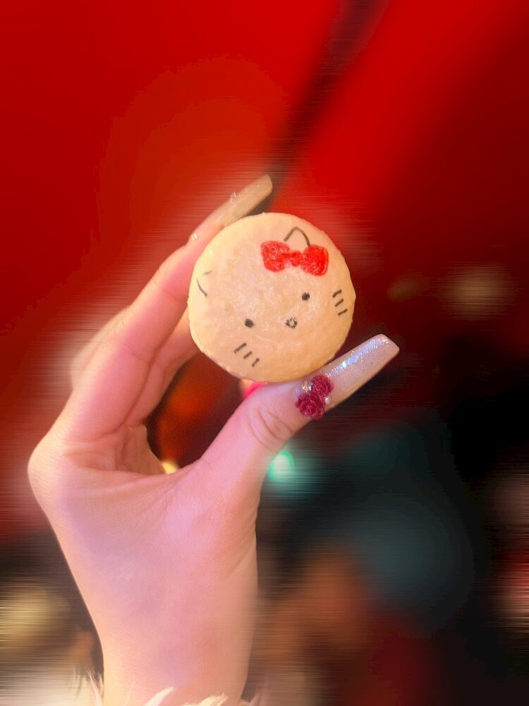 こんばんは🌙𓈒 𓂂𓏸