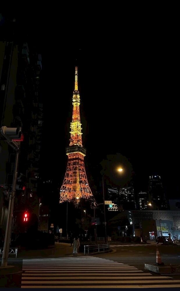 こんばんはココナです✨