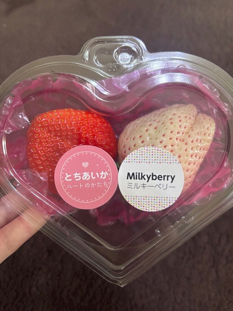 こんばんは🌙*ﾟ